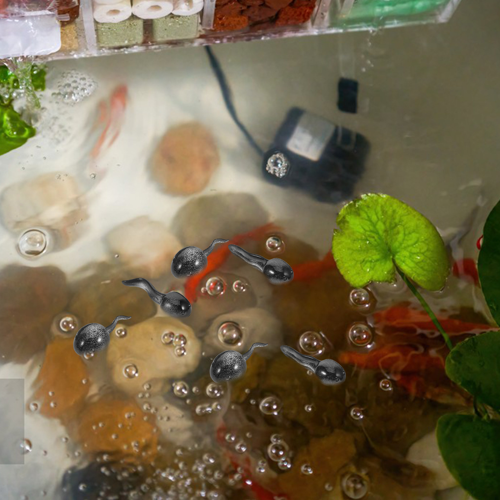 13Pcs Lifelike Tiny Tadpole Re - Bonsai Garden With Pond review and price