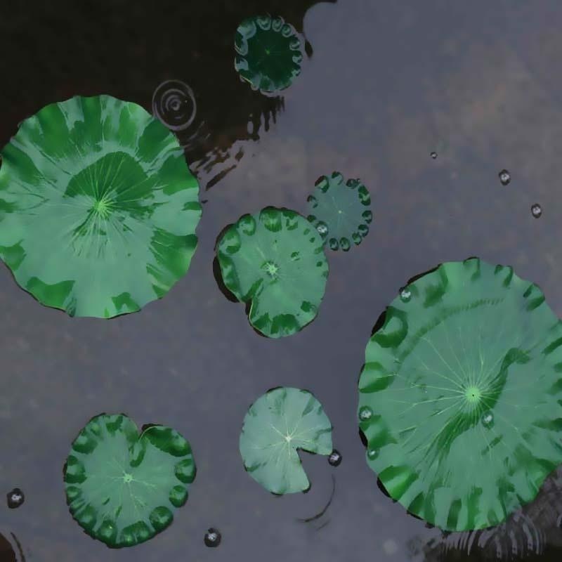2026 Artificial Water Lily Lot - Bonsai Garden With Pond review and price
