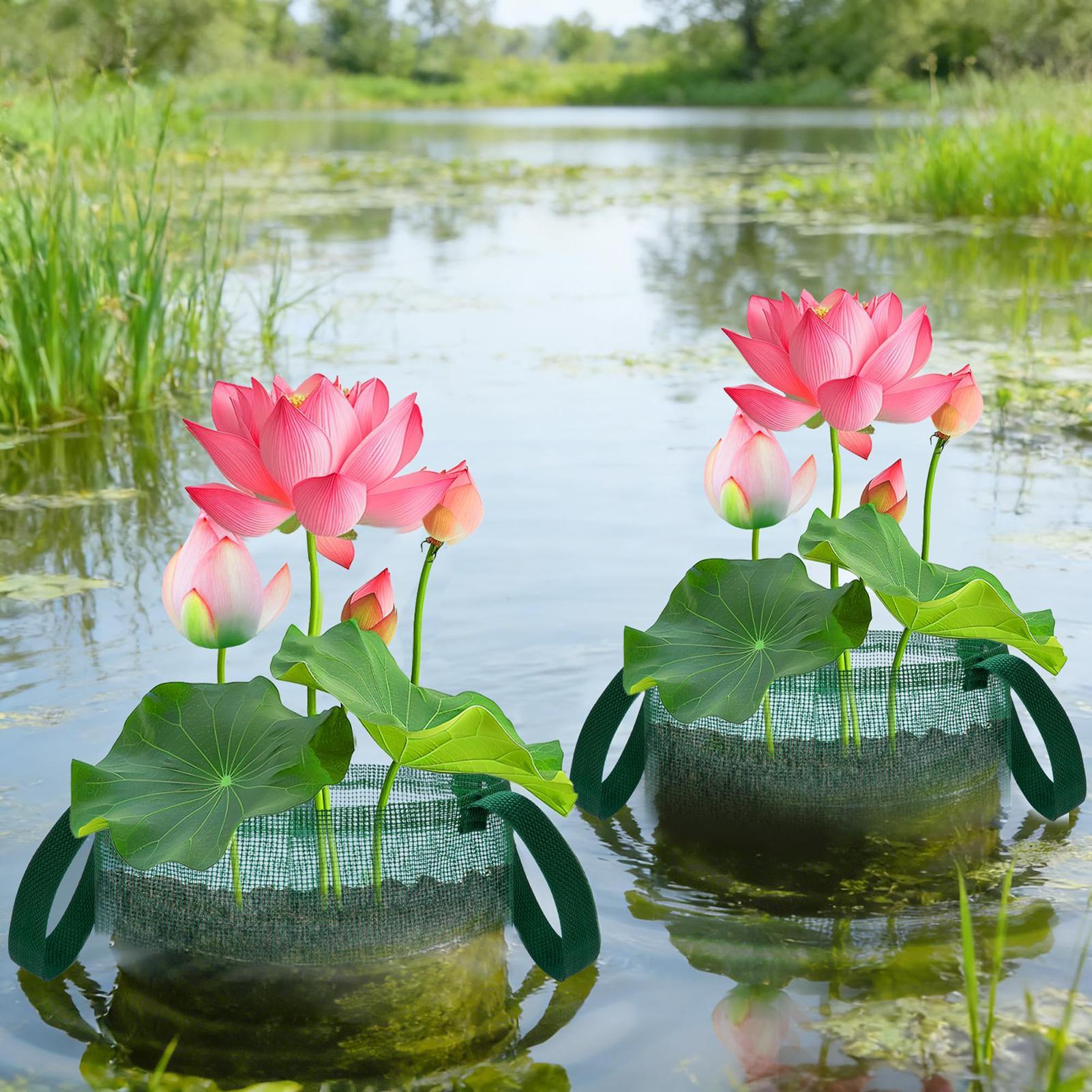 Pond Baskets for Bonsai 4 Piec - Bonsai Garden With Pond review and price