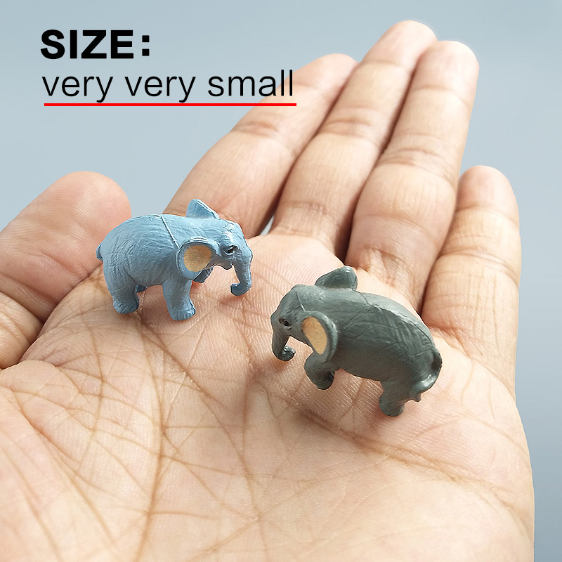 10Pcs Small Elephant Bonsai Fi - Bonsai Garden In Japan review and price