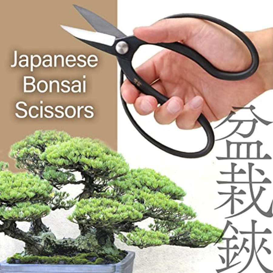 Japanese Suiryu Bonsai Scissor - Bonsai Garden In Japan review and price
