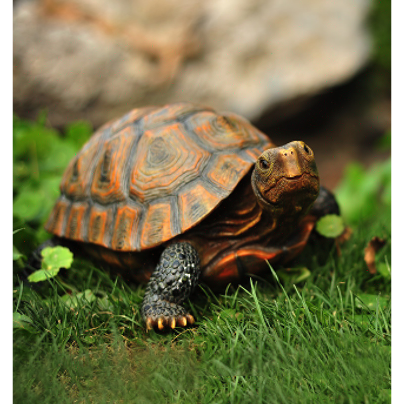 Cute Resin Tortoise Statue Out - Bonsai Garden With Pond review and price
