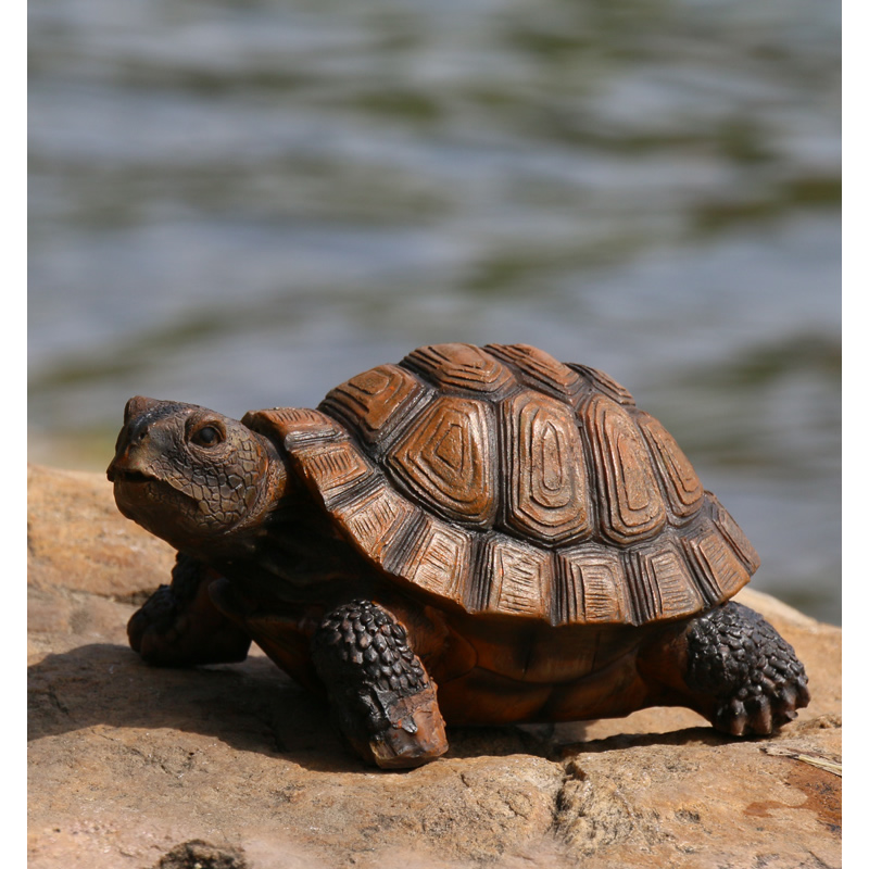 Cute Resin Tortoise Statue Out - Bonsai Garden With Pond review and price