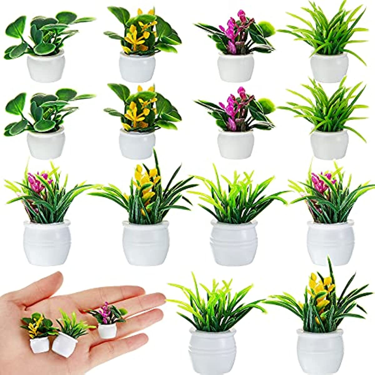 Dollhouse Plant, Miniature Bon - Bonsai Garden Ideas review and price