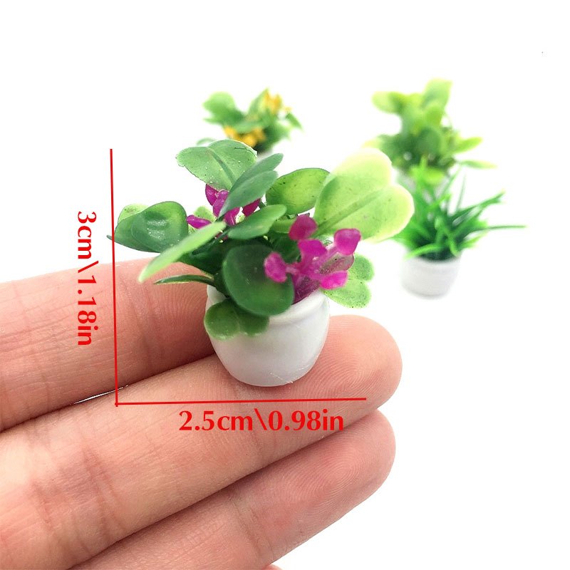 Dollhouse Plant, Miniature Bon - Bonsai Garden Ideas review and price