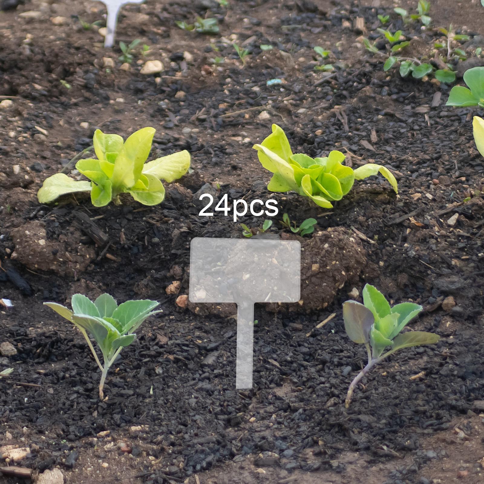 24x Acrylic Plant Tag Plant Na - Bonsai Garden Name review and price
